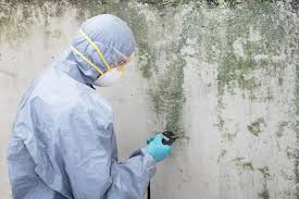 Best Crawl Space Mold Remediation  in Anthony, NM